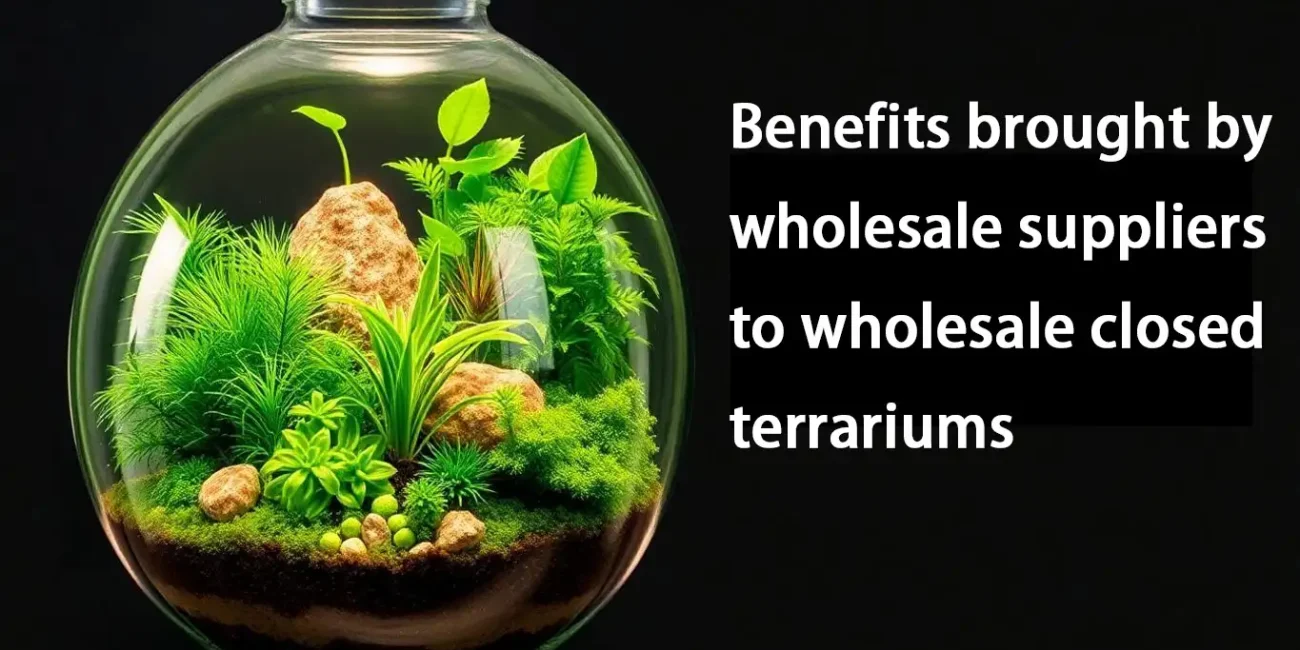 Closed glass terrarium filled with diverse plants and decor.