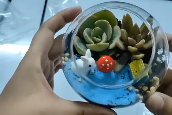 how to make a glass terrarium for home decor
