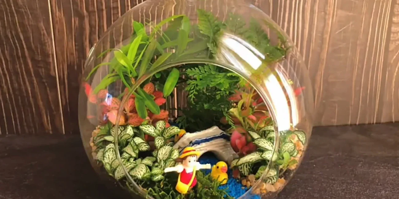 DIY-friendly hanging glass terrarium kits for low-maintenance home decor