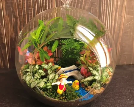 Подвесные стеклянные террариумы DIY для декора дома, не требующего особого ухода