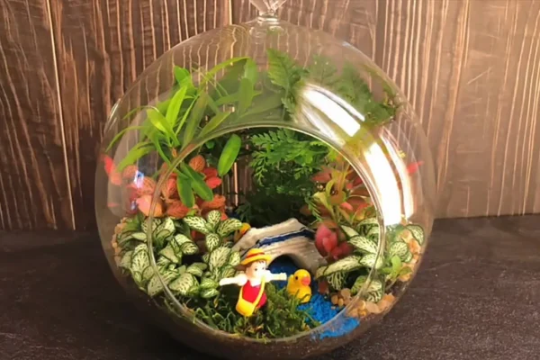 Подвесные стеклянные террариумы DIY для декора дома, не требующего особого ухода