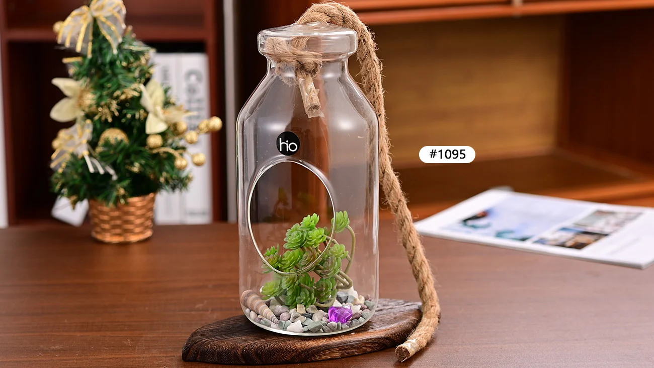 Hanging Planters Outdoor