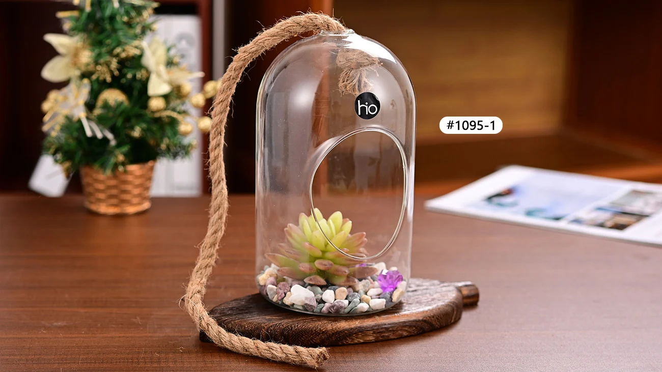 Glass Succulent Terrarium