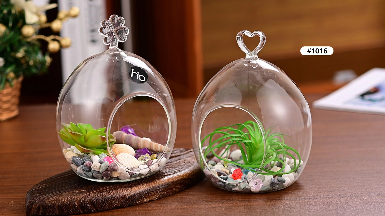 Air Plant Globe