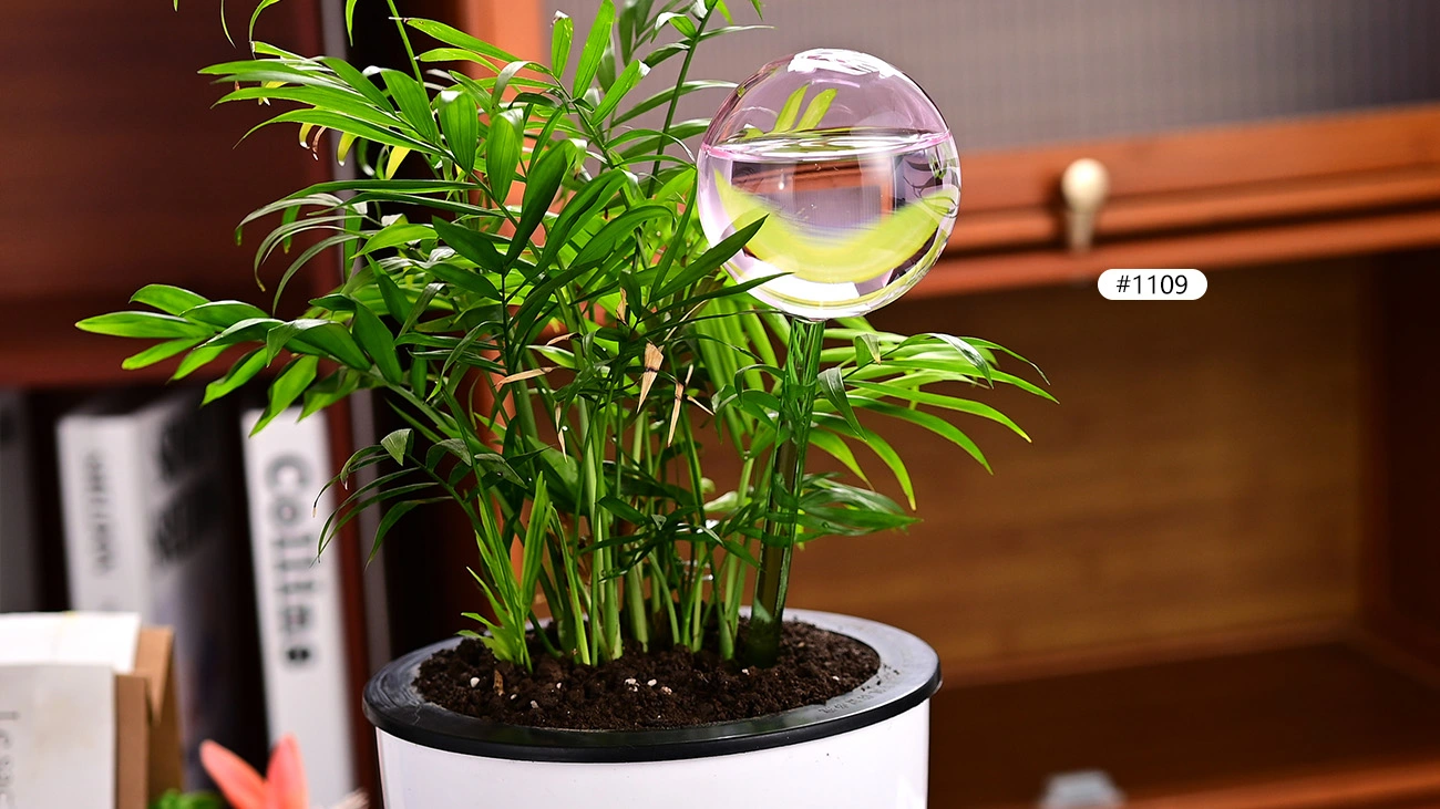Glass Self Watering Globes