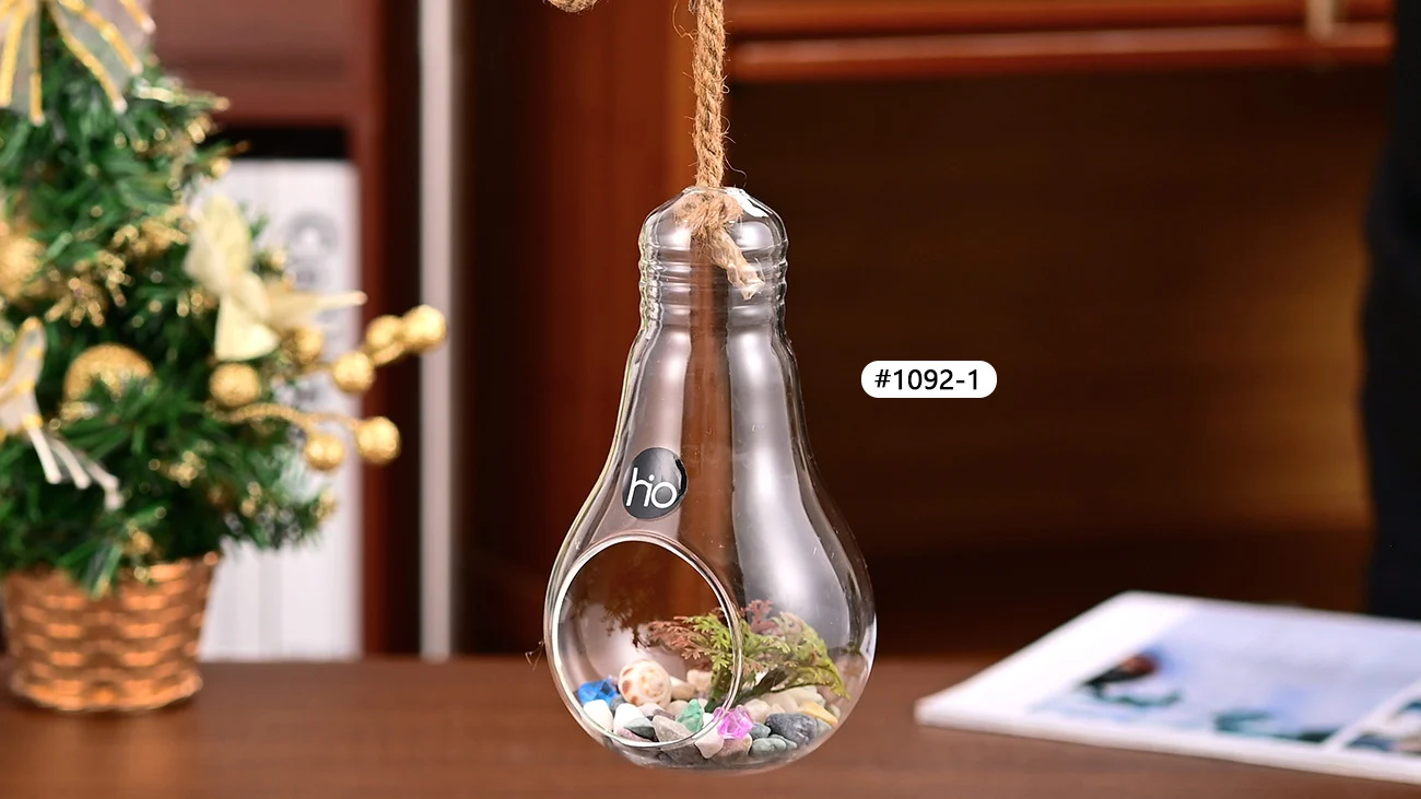 Light Bulb Terrarium
