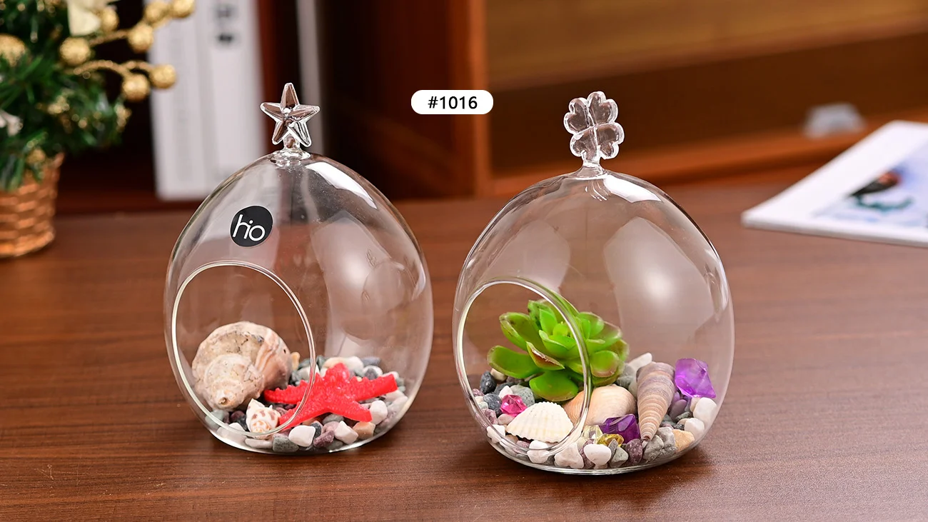Plant Glass Globe